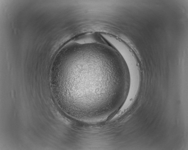 X0000077990481200611101732