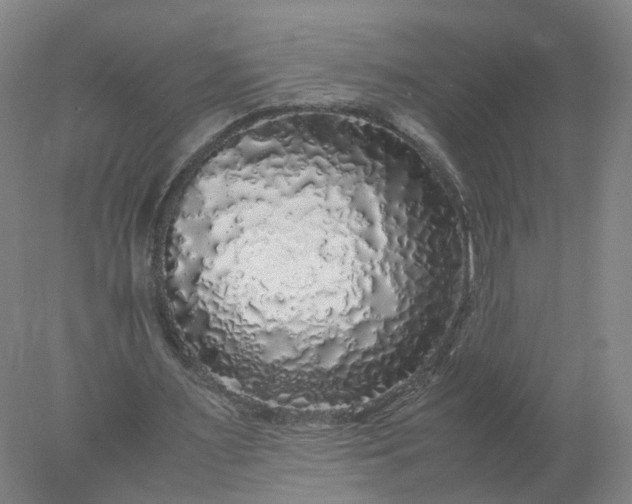 X0000077990483200611101732