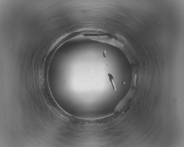 X0000077990484200611101732