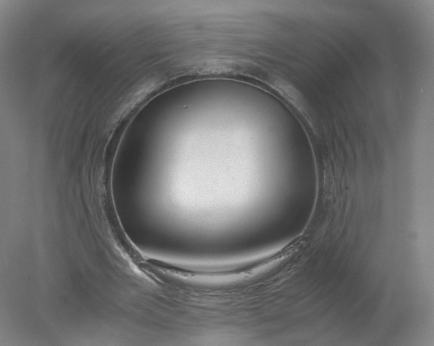 X0000077990485200611101732