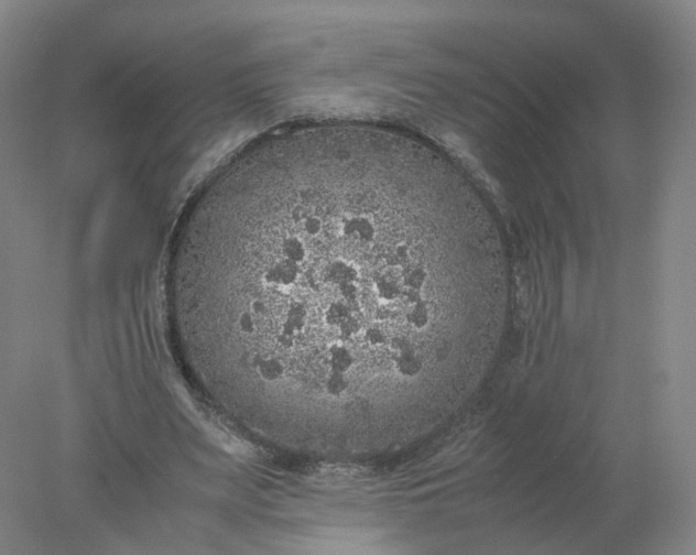 X0000077990487200611101732