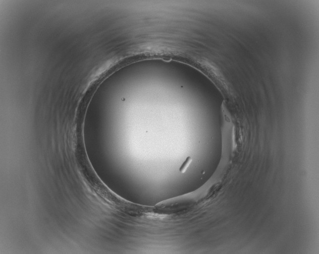 X0000077990488200611101732