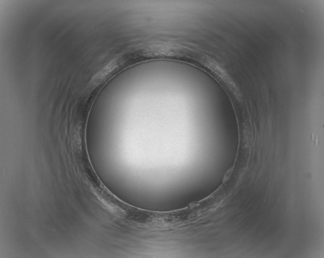 X0000077990489200611101732