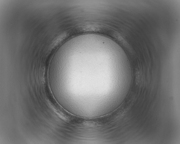 X0000077990490200611101732