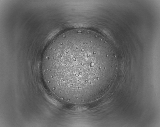 X0000077990491200611101732