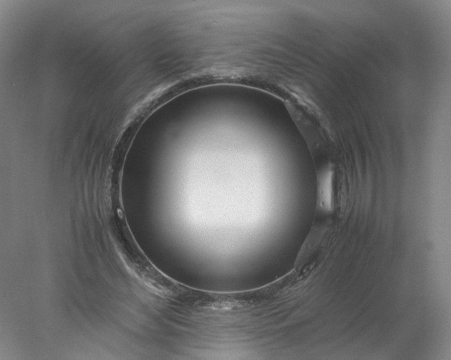 X0000077990492200611101732