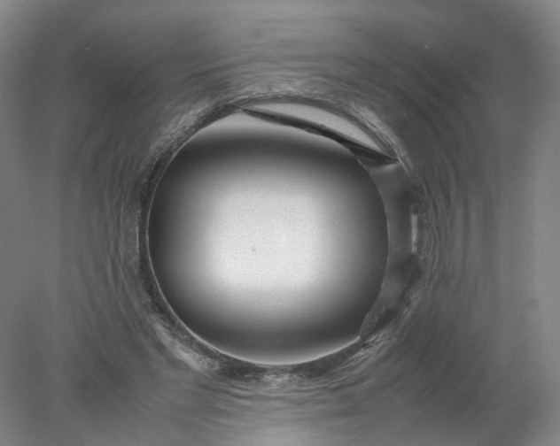 X0000077990493200611101732