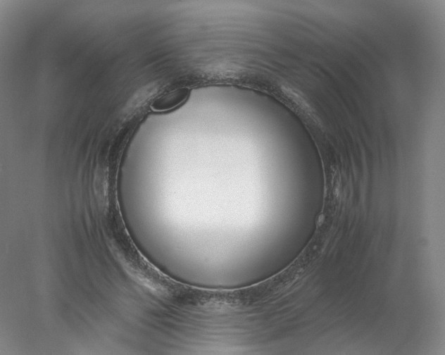 X0000077990494200611101732