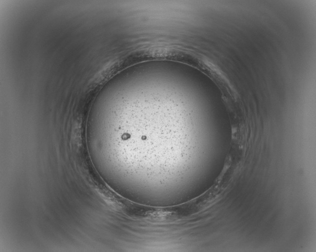 X0000077990497200611101732