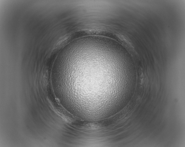 X0000077990498200611101732