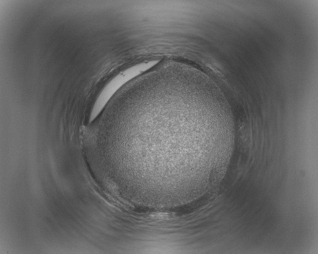 X0000077990499200611101732