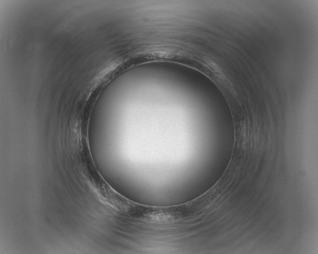 X0000077990500200611101732