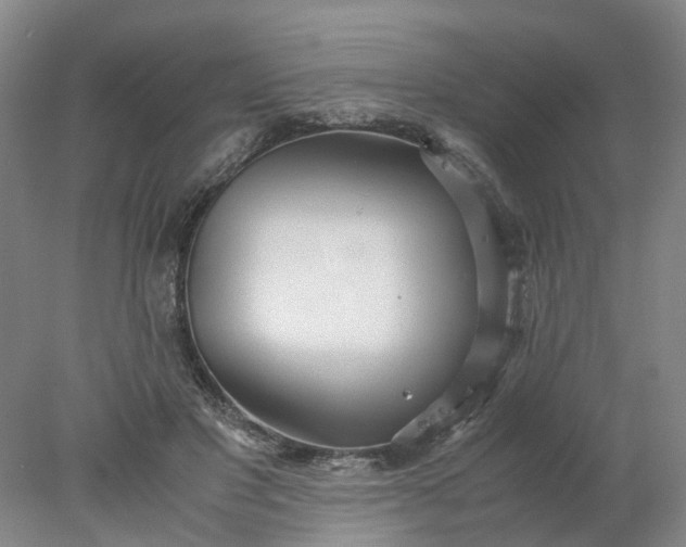 X0000077990501200611101732