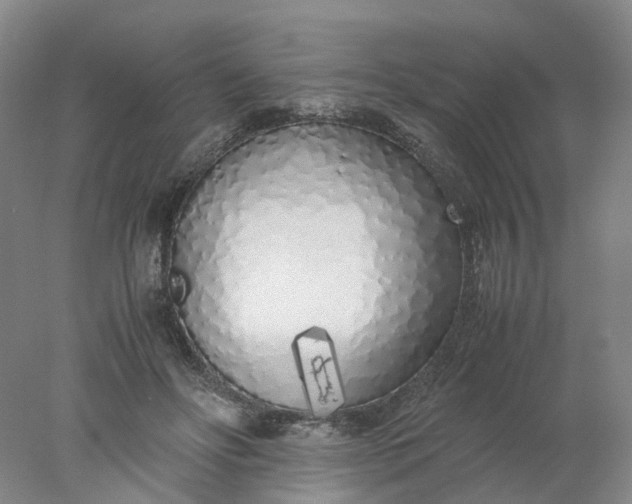 X0000077990502200611101732