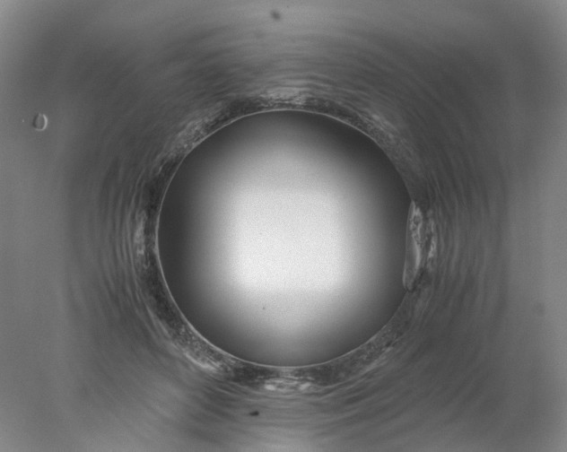 X0000077990504200611101732