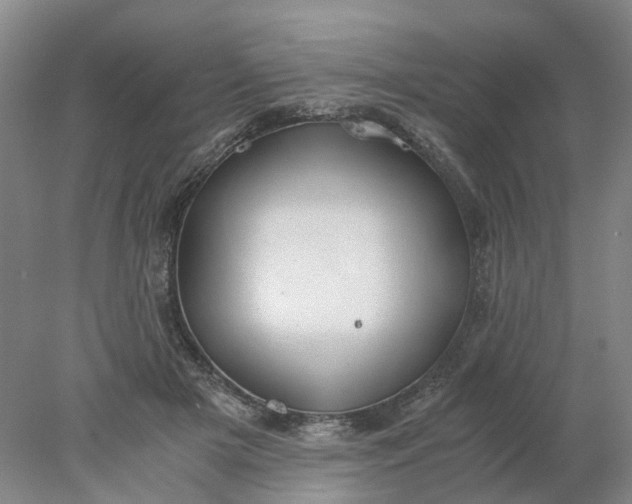 X0000077990505200611101732