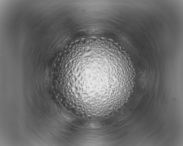 X0000077990506200611101732