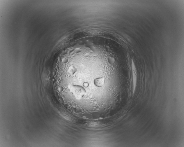 X0000077990507200611101732