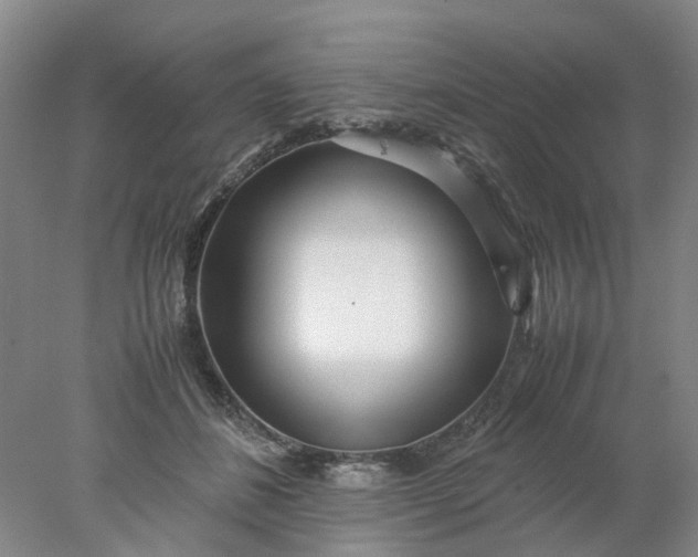 X0000077990508200611101732