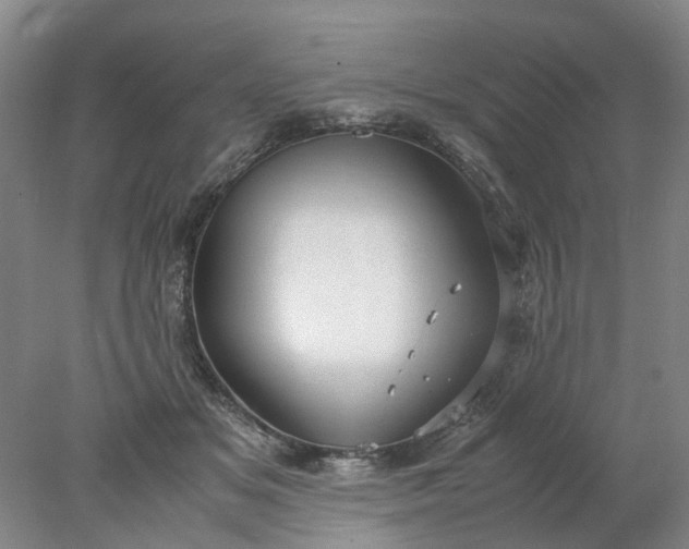 X0000077990509200611101732