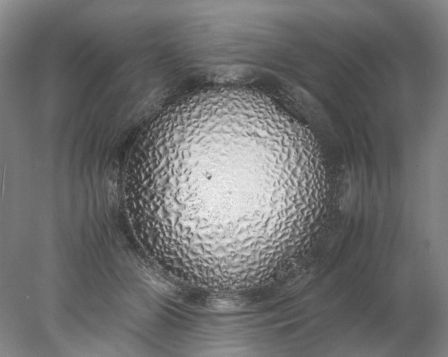 X0000077990510200611101732