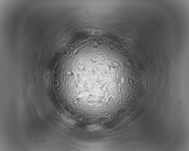 X0000077990511200611101732