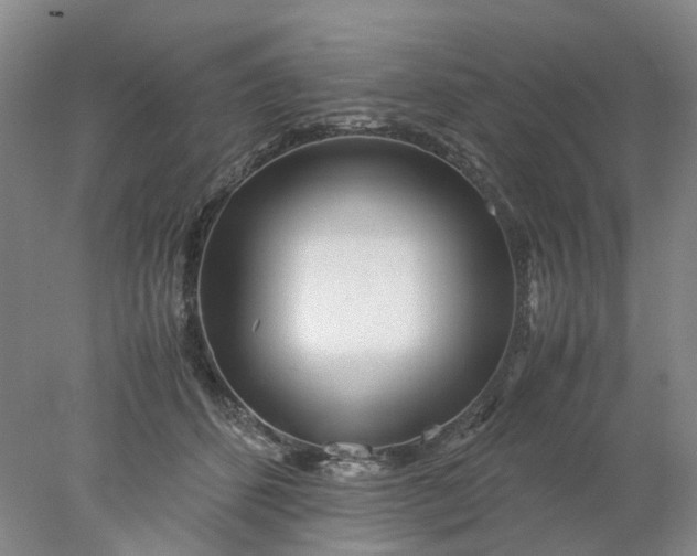 X0000077990512200611101732