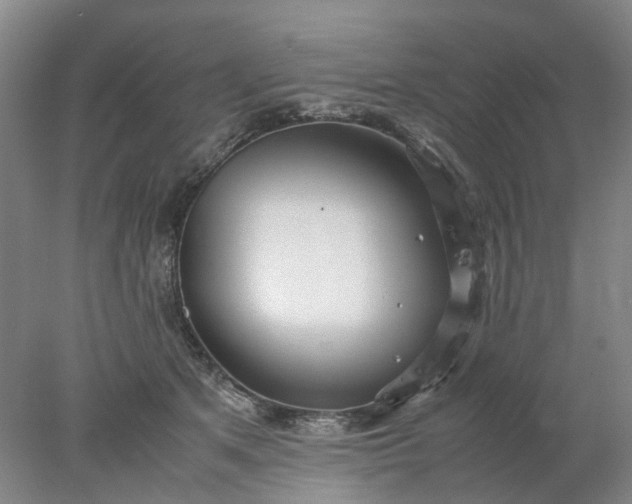 X0000077990513200611101732