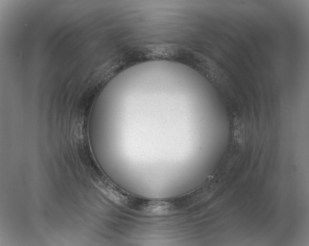 X0000077990514200611101732