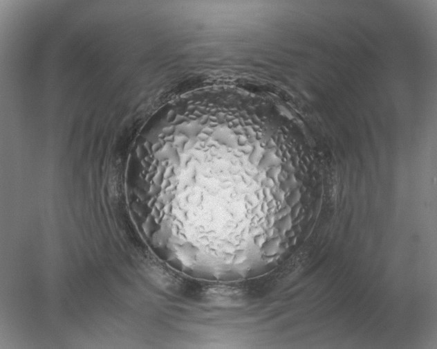 X0000077990515200611101732