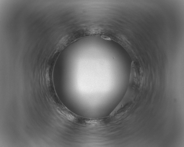 X0000077990516200611101732