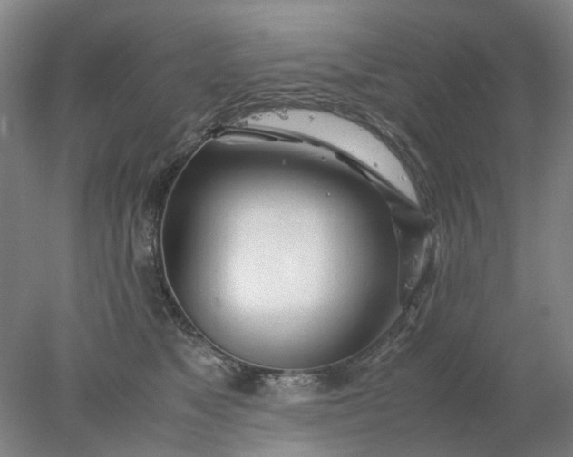 X0000077990517200611101732