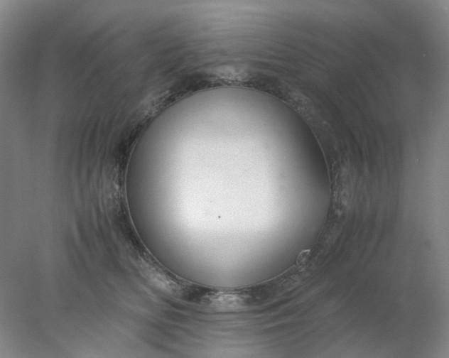 X0000077990518200611101731