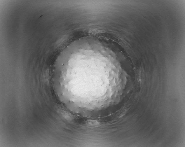 X0000077990519200611101731