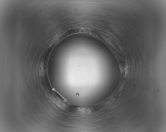 X0000077990520200611101731