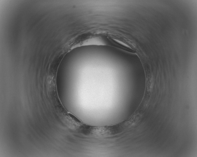 X0000077990521200611101731