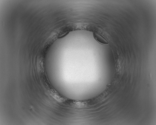 X0000077990522200611101731