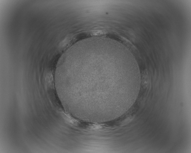 X0000077990523200611101731