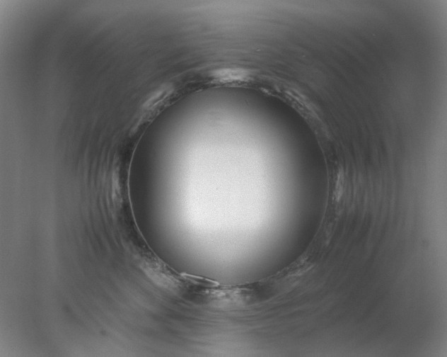 X0000077990524200611101731