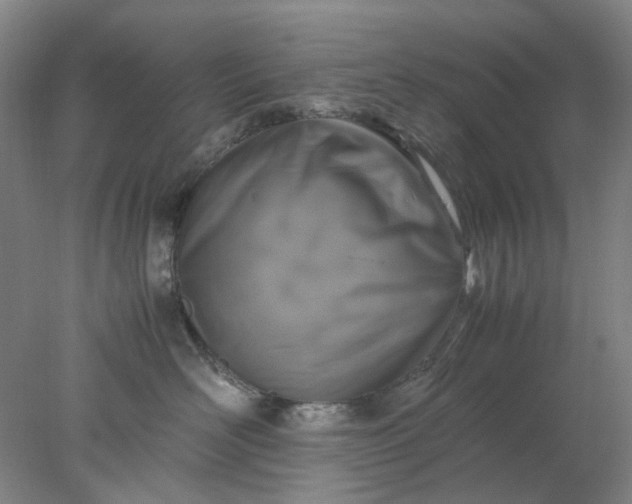 X0000077990526200611101731