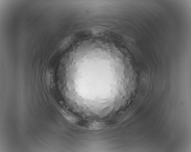 X0000077990527200611101731