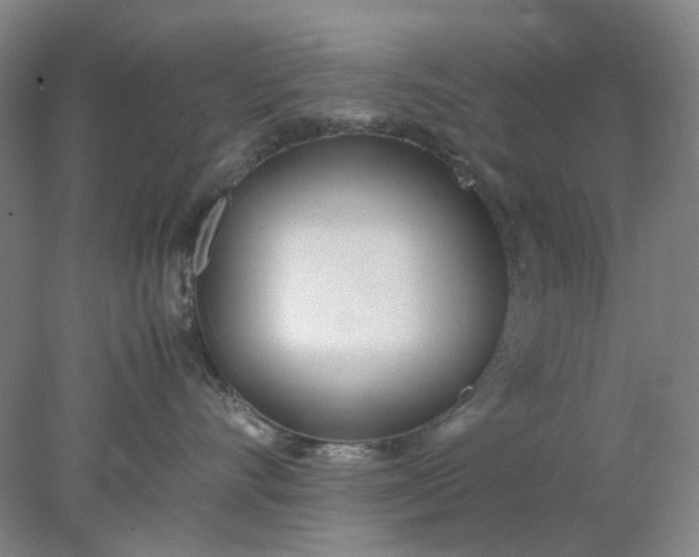 X0000077990528200611101731