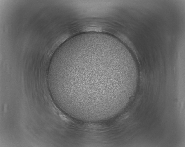 X0000077990529200611101731