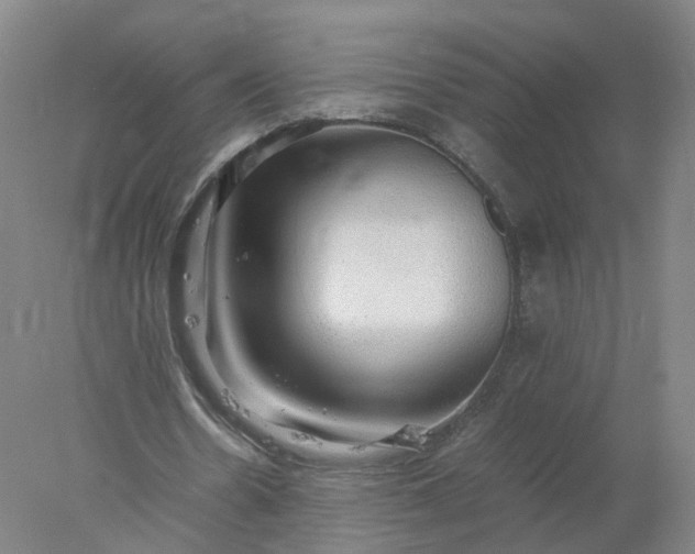 X0000077990530200611101731