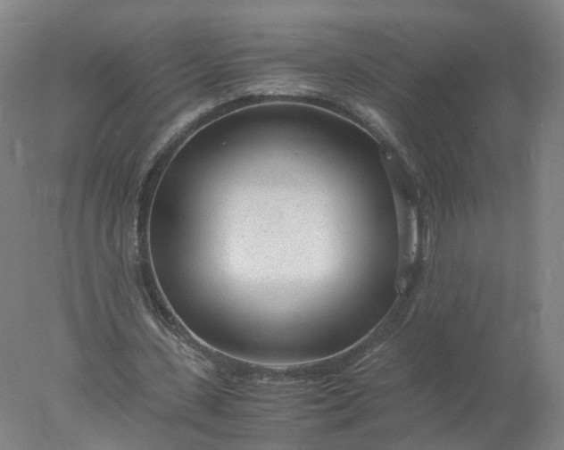 X0000077990531200611101731