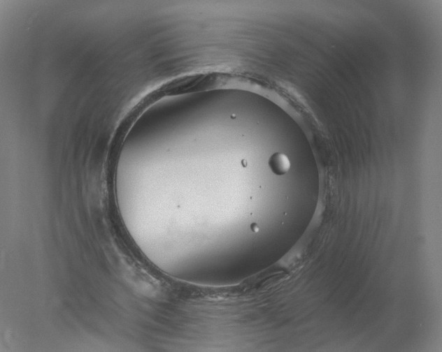 X0000077990532200611101731