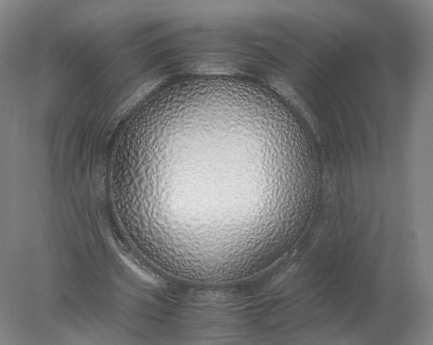 X0000077990533200611101731