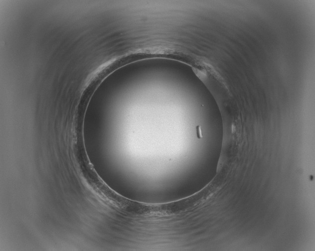 X0000077990536200611101731