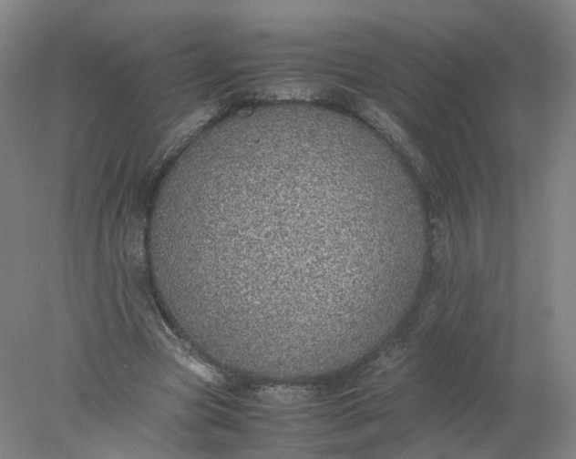 X0000077990537200611101731