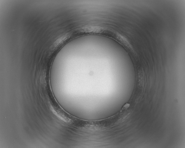 X0000077990538200611101731